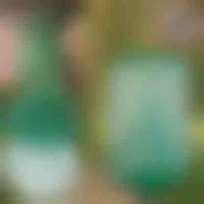 Trappola per mosche e insetti da appendere riutilizzabile | INSECTA