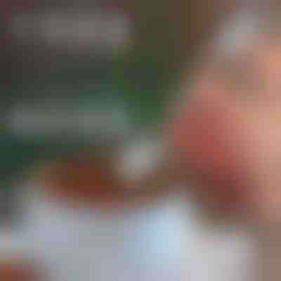 Cucchiai per decorazioni natalizie (4 pezzi) | XMASSPOON