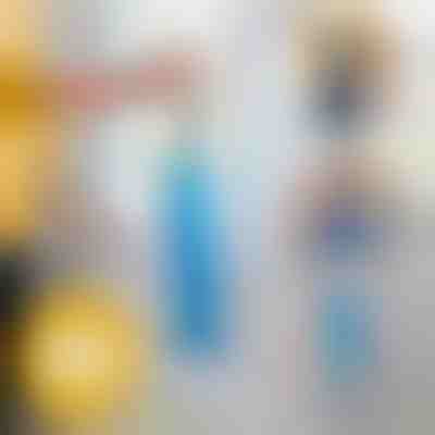 Spazzola per spolverare a lunga gittata | DUSTOFF