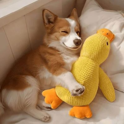 Peluche calmante per cani con suono di starnazzamento - riduce l'ansia da separazione | CALMQUA