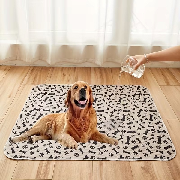 PAWSORB