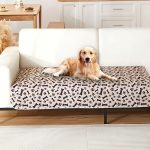 PAWSORB